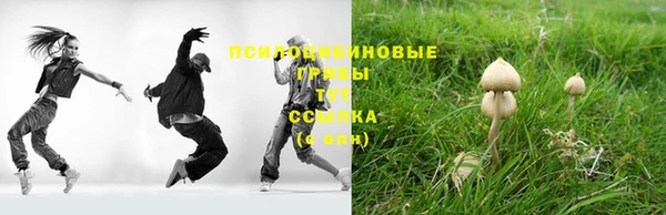 мяу мяу мука Абаза