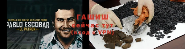мяу мяу мука Абаза