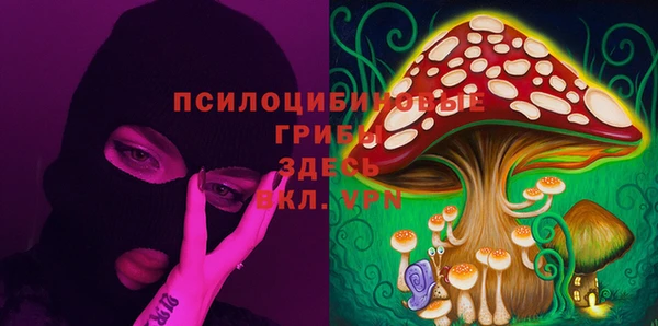 СК Абинск