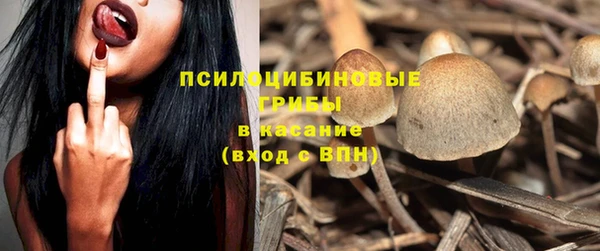 бошки Абдулино
