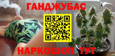 спайс Обь