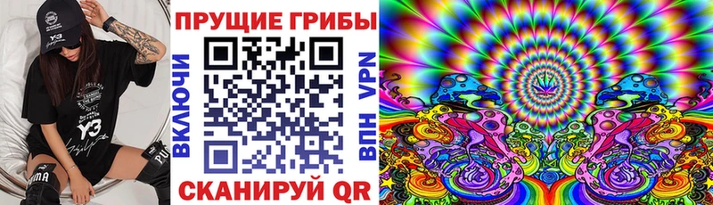 Галлюциногенные грибы Cubensis  Тутаев 