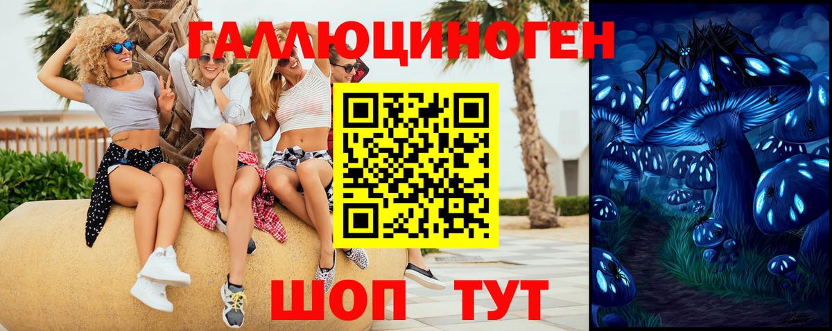 Галлюциногенные грибы Magic Shrooms Тутаев