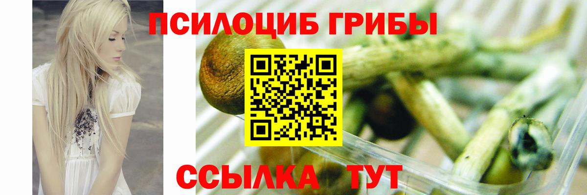 Галлюциногенные грибы GOLDEN TEACHER  Вход с VPN  Галлюциногенные грибы мухоморы  Тутаев 